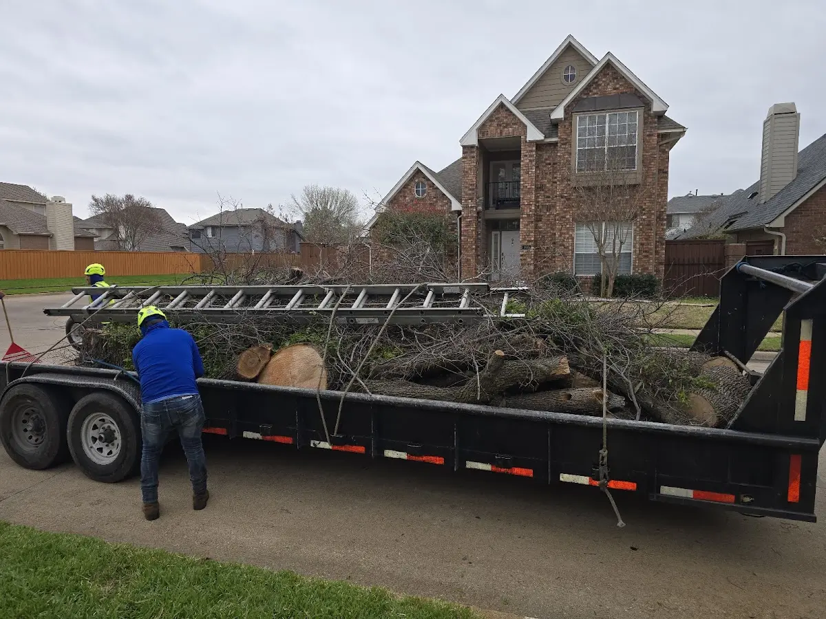Expert Lot Clearing with proper safety equipment in Severn